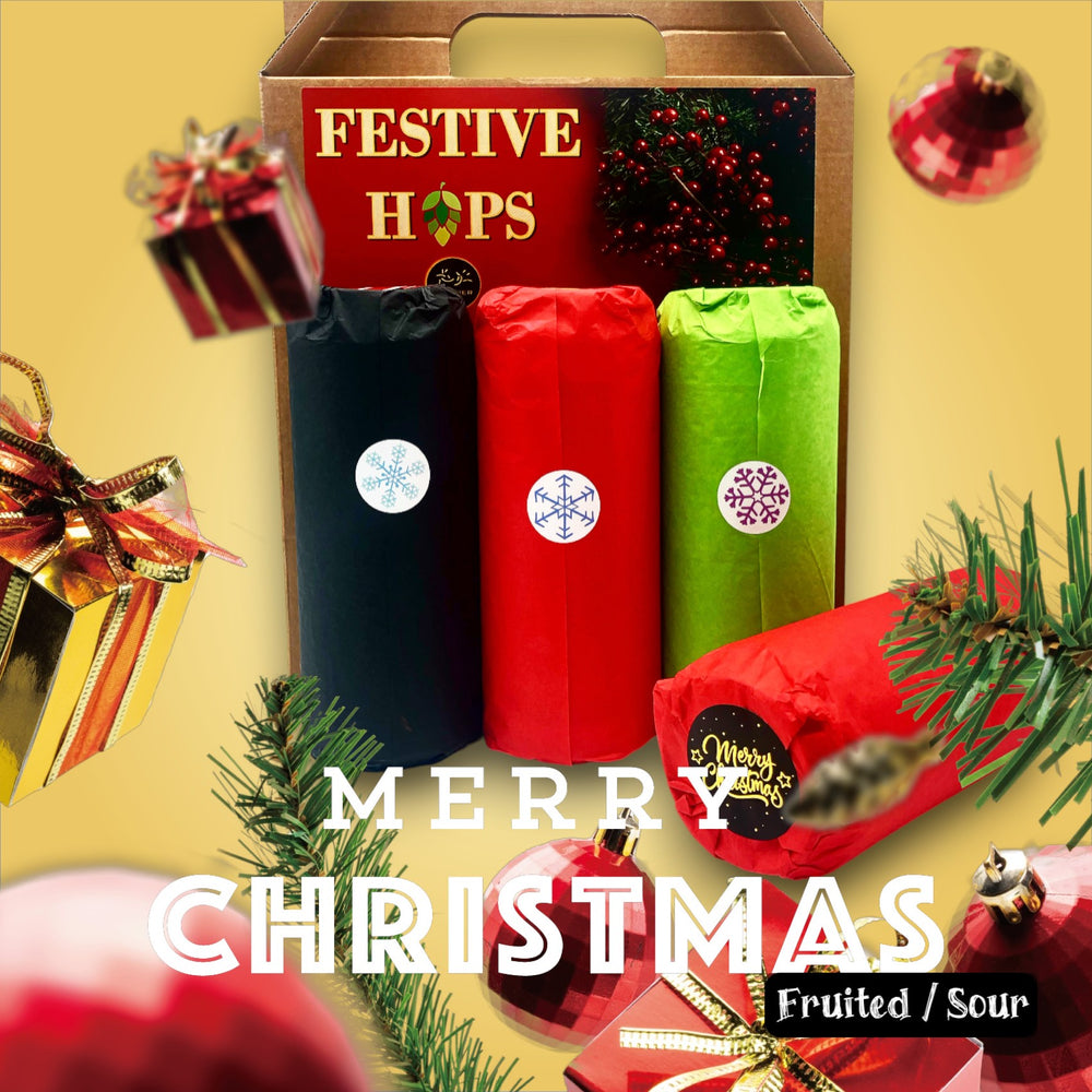 FESTIVE HOPS Gift Pack (4 Cans - Fruited / Sour)