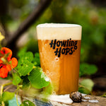 Single Hop No. 7 - El Dorado / Pale Ale / 4.8%