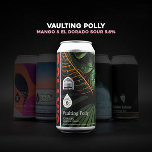 Vaulting Polly X Vault City / Sour / 5.8%