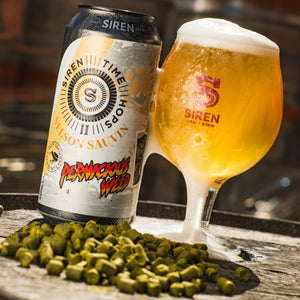 Time Hops: Nelson Sauvin / DIPA / 8.0%